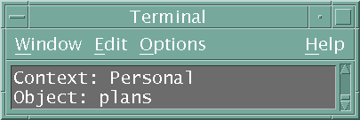 output in the terminal window