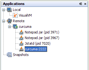Remote JMX connection shown in application tree.